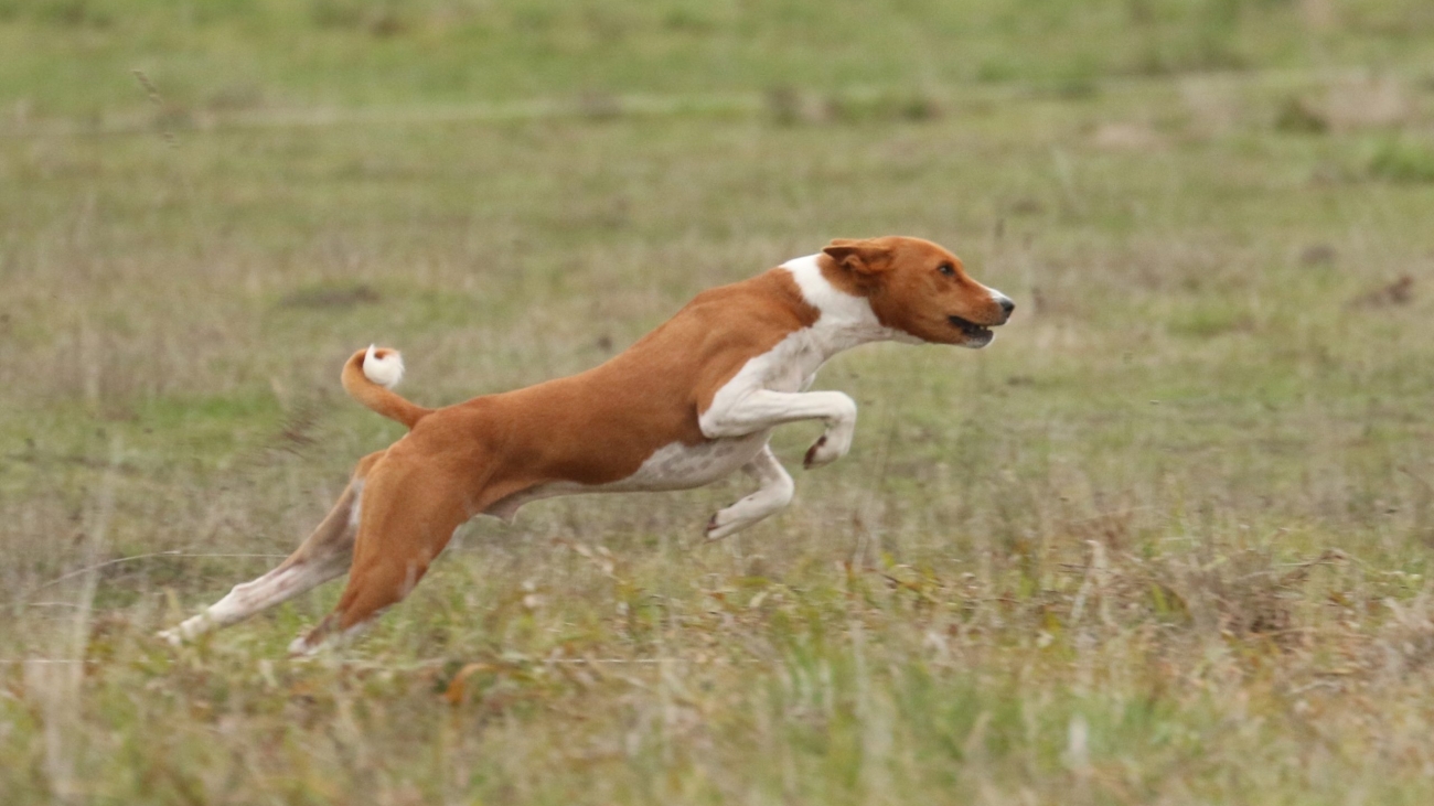 jumping high