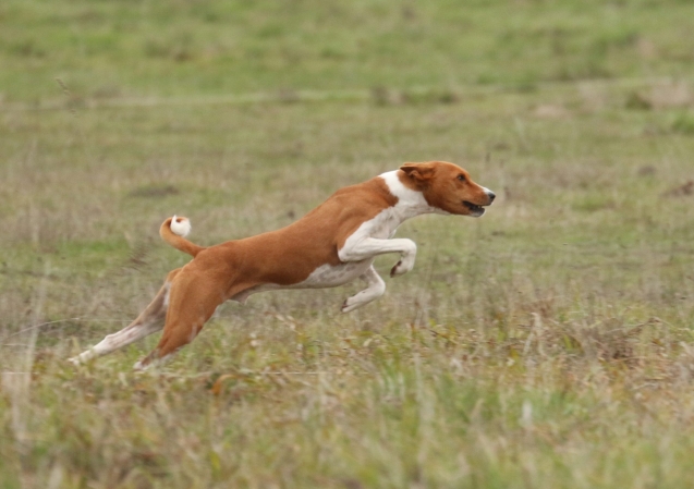 jumping high