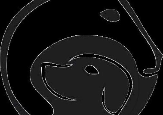 Ranges Vet InstagranRehab