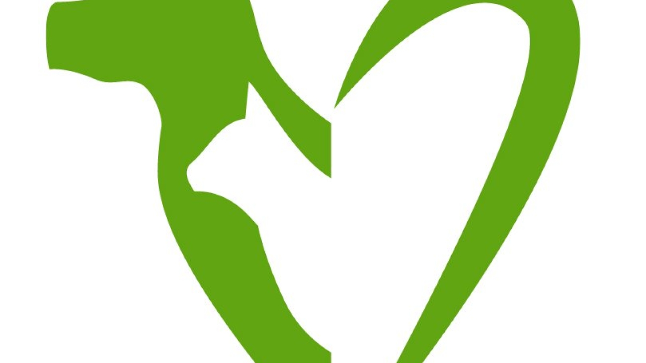 Village Vet Instagram