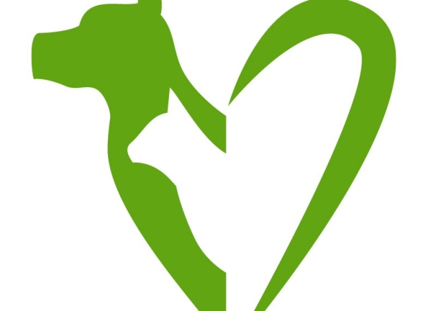 Village Vet Instagram