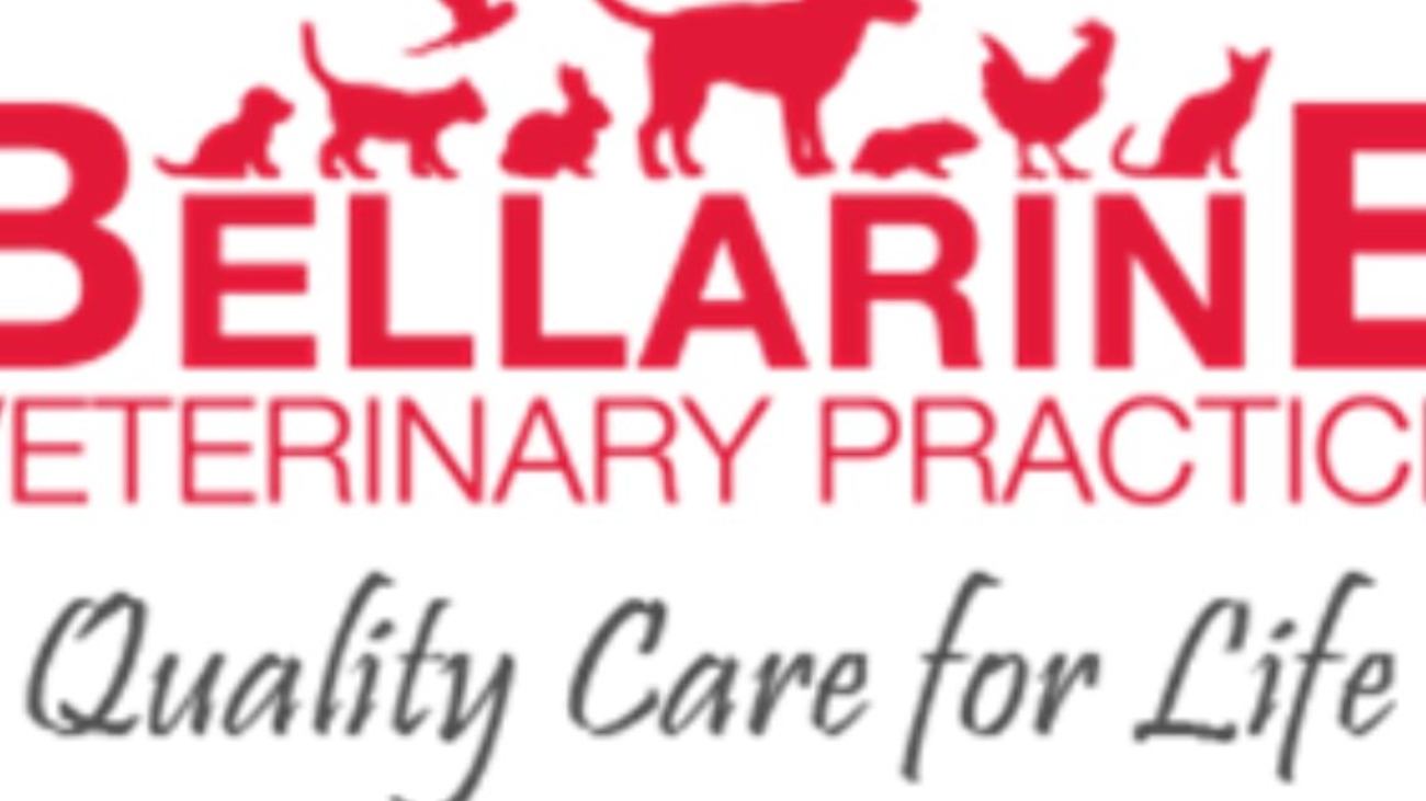 580120037_17854791261561345_6626895430779617030_n