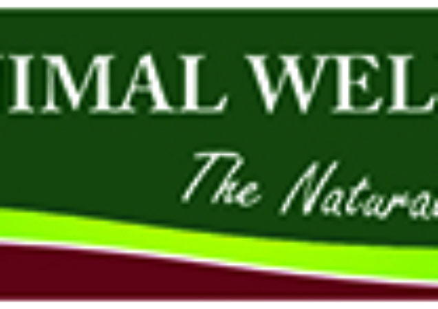 Animal_Wellness_Holistic_Vet_Brisbane