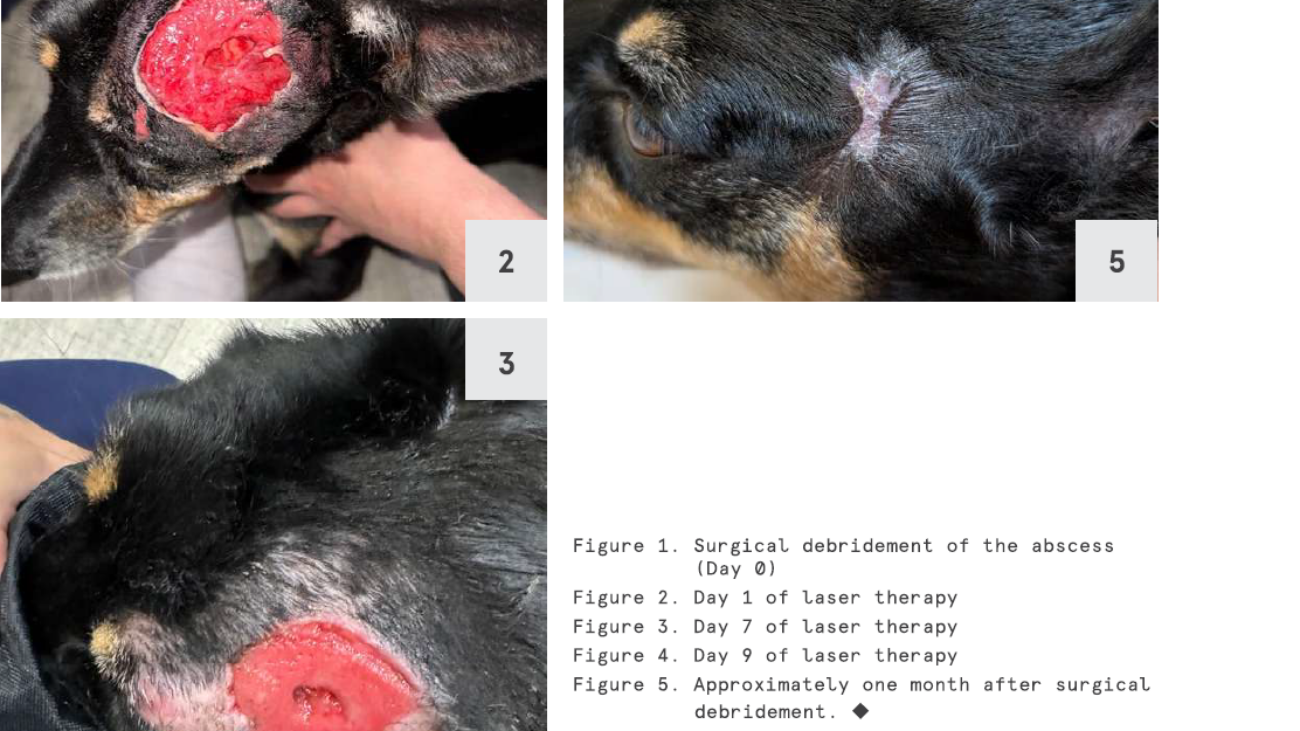 Congrats to Dr Kathy Le