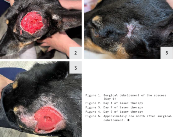 Congrats to Dr Kathy Le