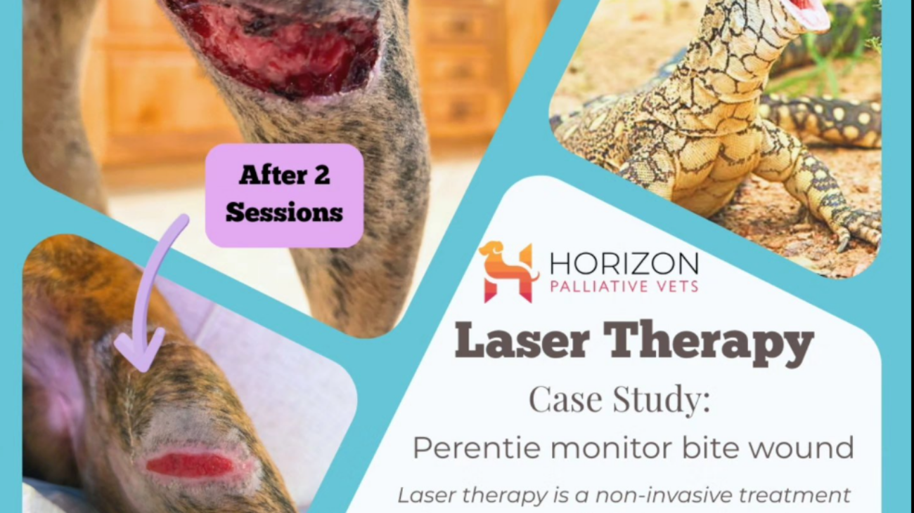 Screenshot 2026-02-11 144130