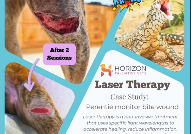 Screenshot 2026-02-11 144130